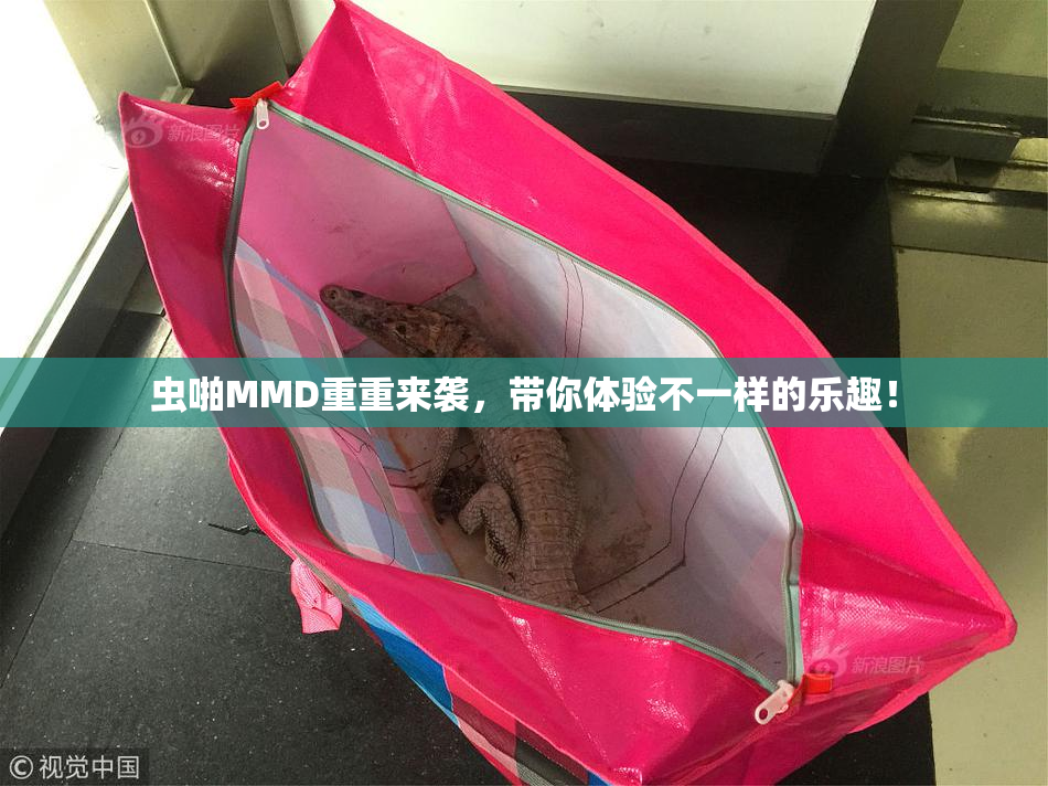 虫啪MMD重重来袭，带你体验不一样的乐趣！