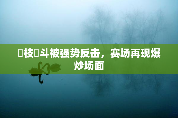 狛枝凪斗被强势反击，赛场再现爆炒场面
