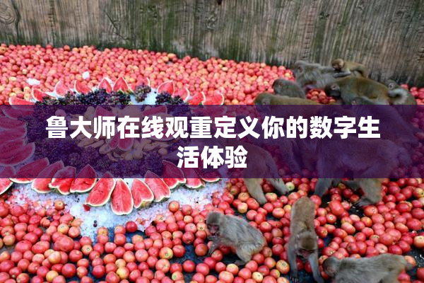 鲁大师在线观重定义你的数字生活体验