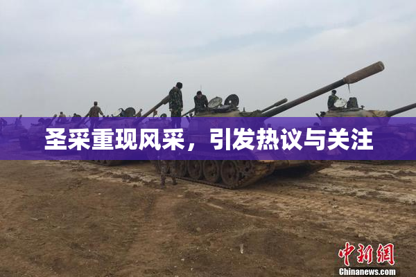 圣采重现风采，引发热议与关注
