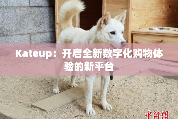 Kateup：开启全新数字化购物体验的新平台