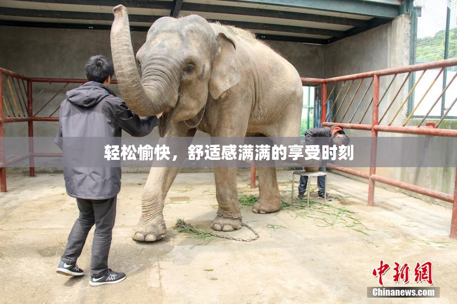 轻松愉快，舒适感满满的享受时刻