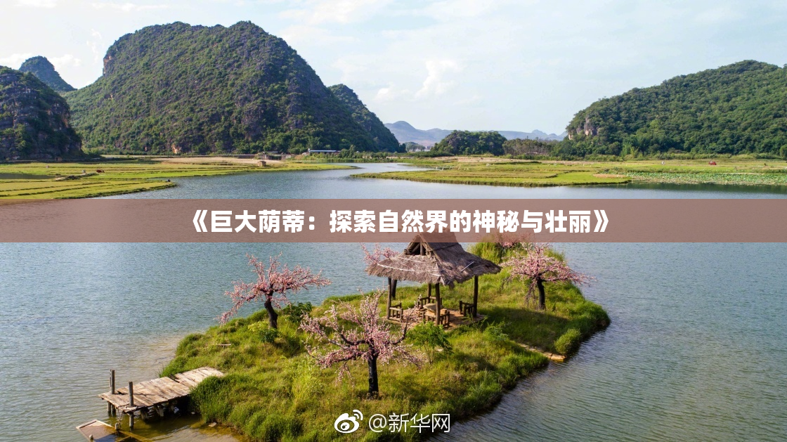 《巨大荫蒂：探索自然界的神秘与壮丽》