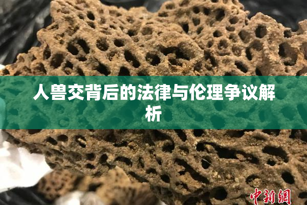 人兽交背后的法律与伦理争议解析