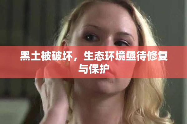 黑土被破坏，生态环境亟待修复与保护