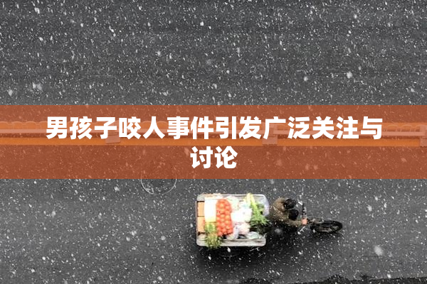 男孩子咬人事件引发广泛关注与讨论