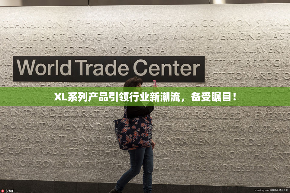XL系列产品引领行业新潮流，备受瞩目！