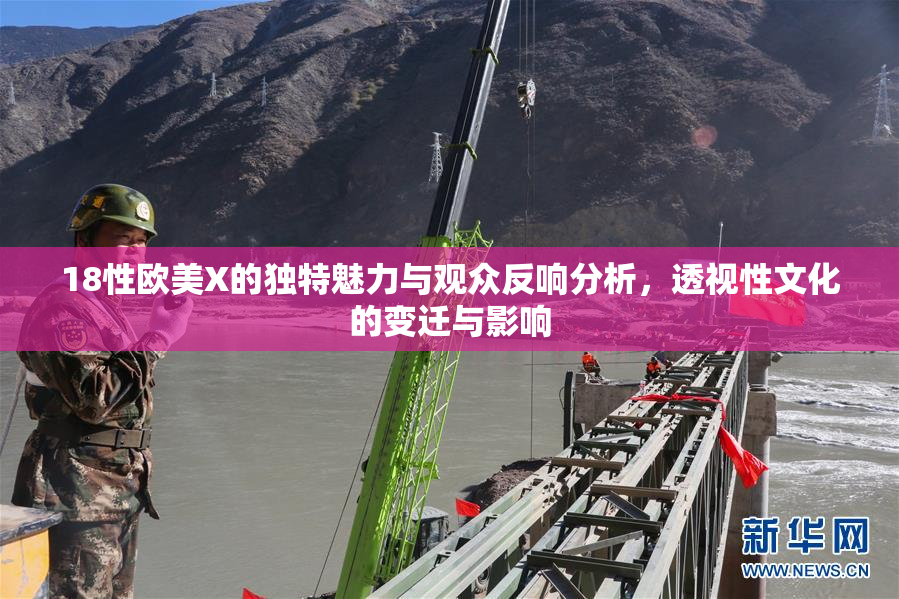 18性欧美X的独特魅力与观众反响分析，透视性文化的变迁与影响