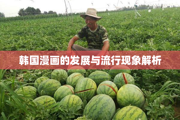 韩国漫画的发展与流行现象解析