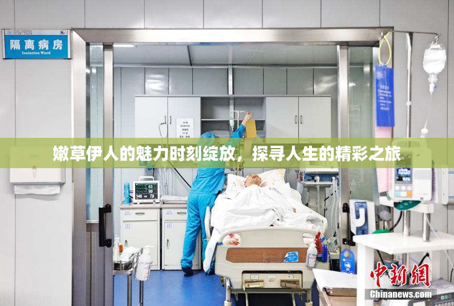 嫩草伊人的魅力时刻绽放，探寻人生的精彩之旅