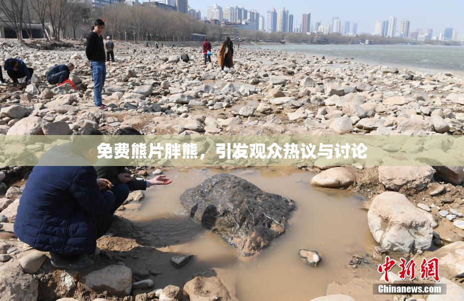 免费熊片胖熊，引发观众热议与讨论