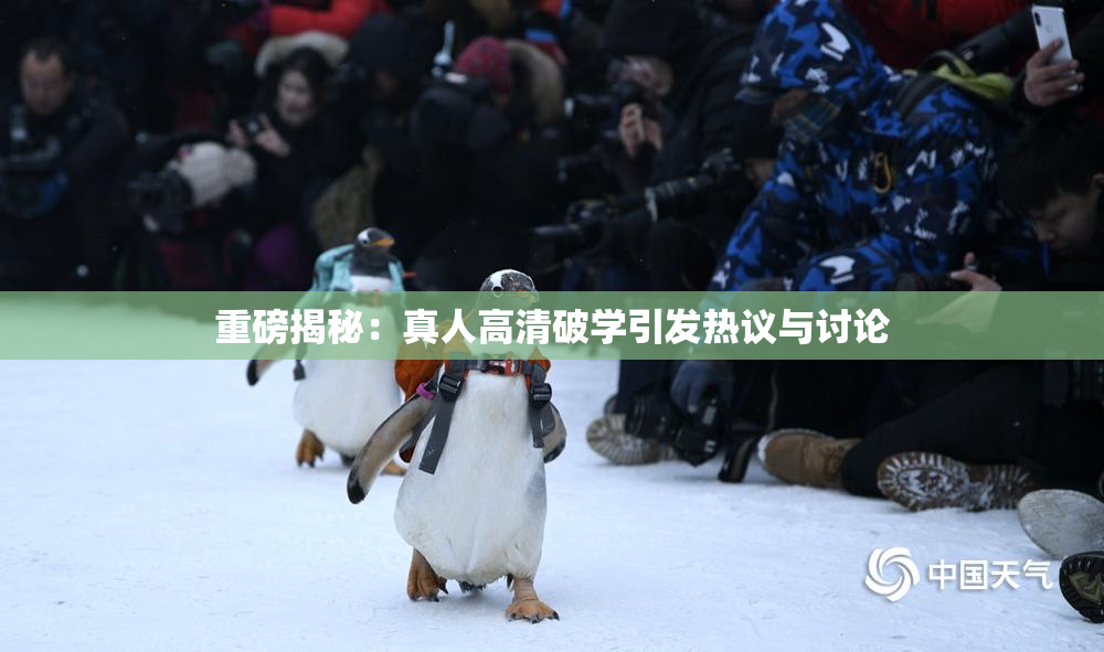 重磅揭秘：真人高清破学引发热议与讨论