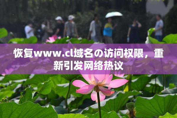 恢复www.cl域名の访问权限，重新引发网络热议