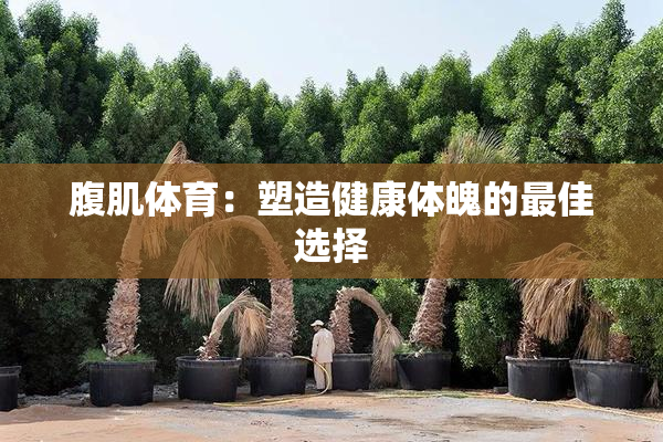 腹肌体育：塑造健康体魄的最佳选择