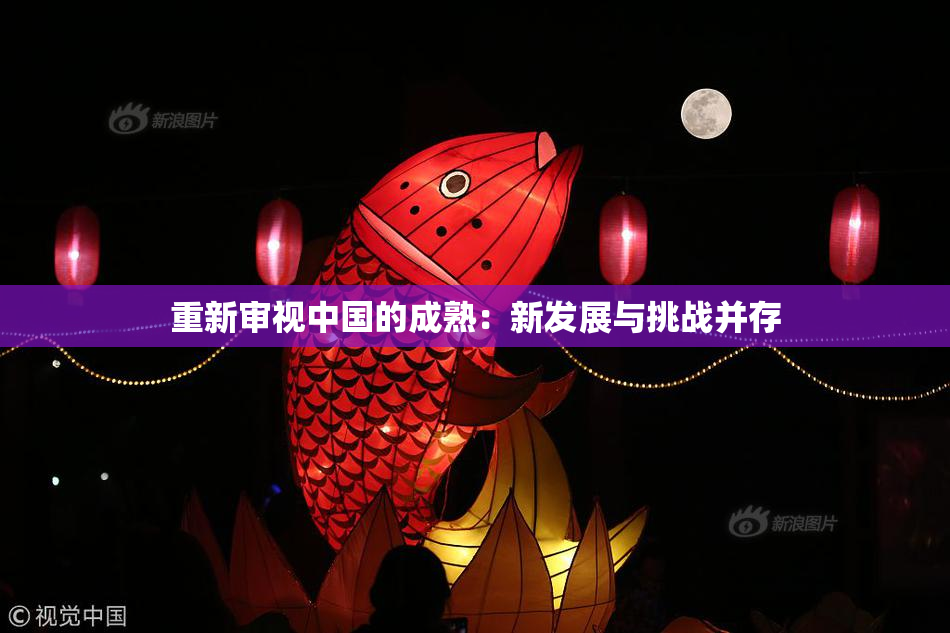 重新审视中国的成熟：新发展与挑战并存
