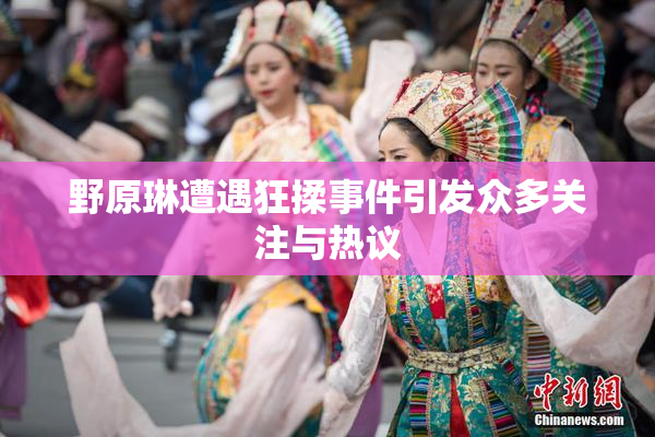 野原琳遭遇狂揉事件引发众多关注与热议
