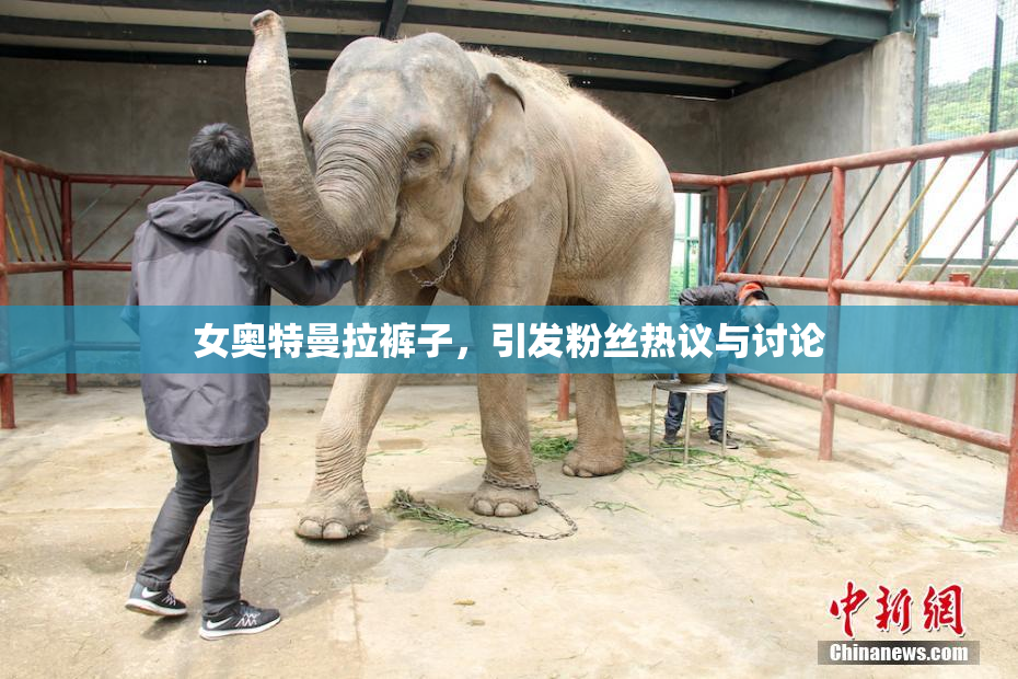 女奥特曼拉裤子，引发粉丝热议与讨论