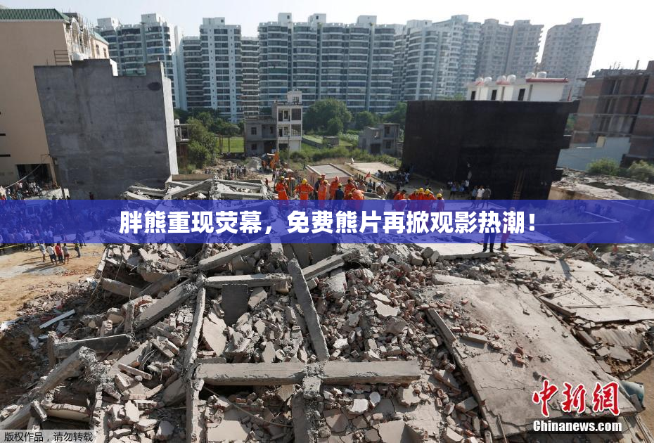 胖熊重现荧幕，免费熊片再掀观影热潮！