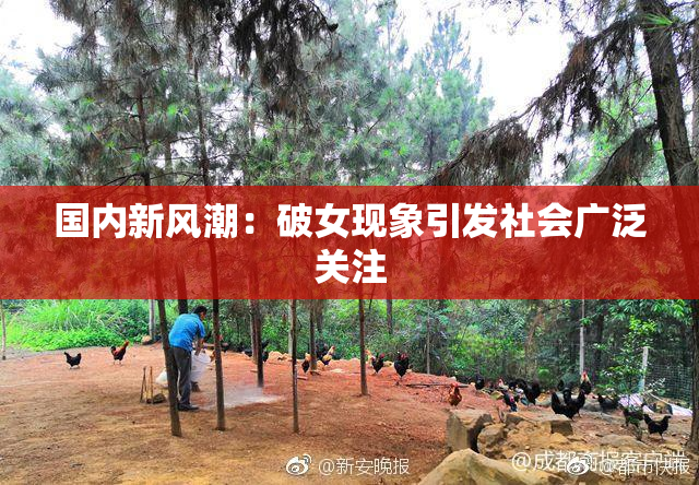 国内新风潮：破女现象引发社会广泛关注