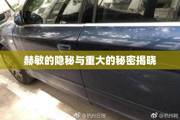 赫敏的隐秘与重大的秘密揭晓