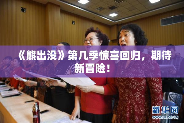 《熊出没》第几季惊喜回归，期待新冒险！
