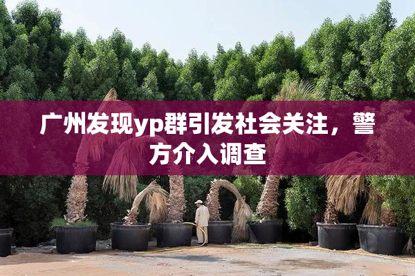 广州发现yp群引发社会关注，警方介入调查