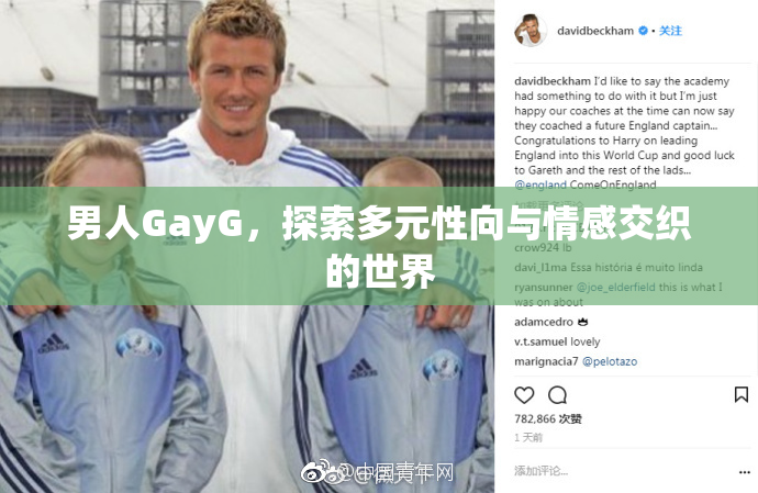 男人GayG，探索多元性向与情感交织的世界