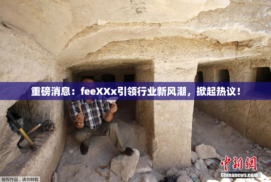 重磅消息：feeXXx引领行业新风潮，掀起热议！