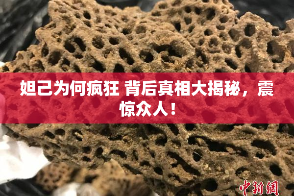 妲己为何疯狂 背后真相大揭秘，震惊众人！