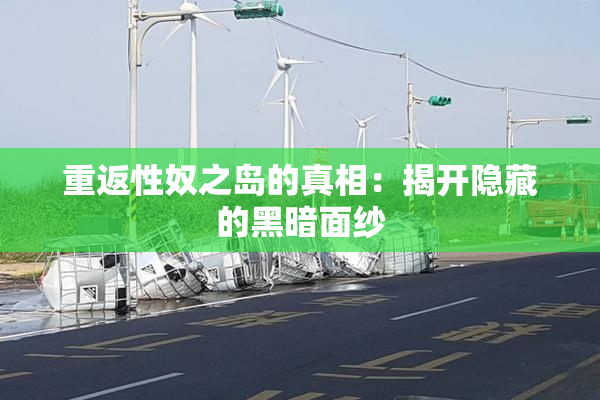 重返性奴之岛的真相：揭开隐藏的黑暗面纱