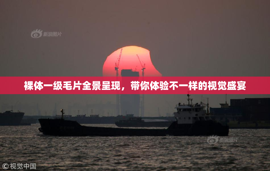 裸体一级毛片全景呈现，带你体验不一样的视觉盛宴