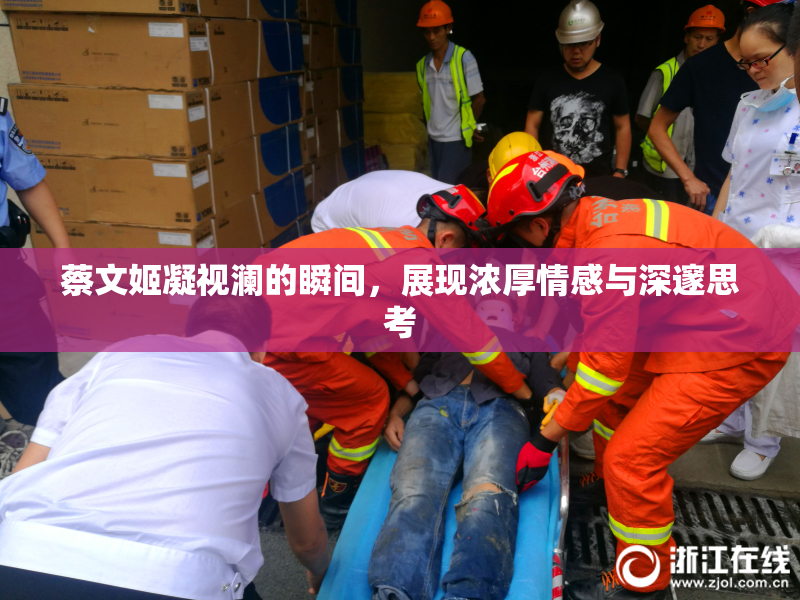蔡文姬凝视澜的瞬间，展现浓厚情感与深邃思考