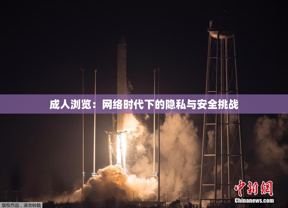 成人浏览：网络时代下的隐私与安全挑战