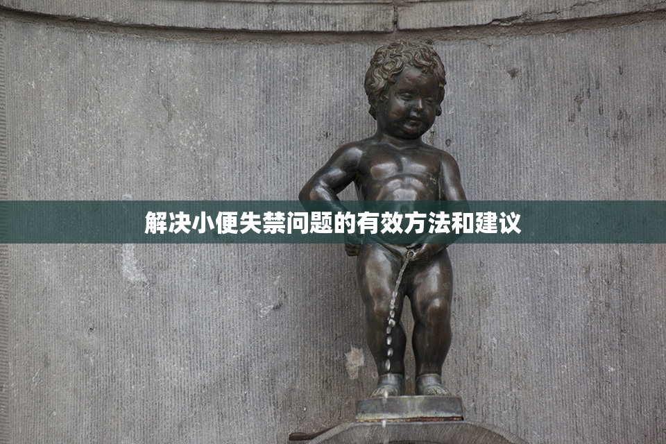 解决小便失禁问题的有效方法和建议