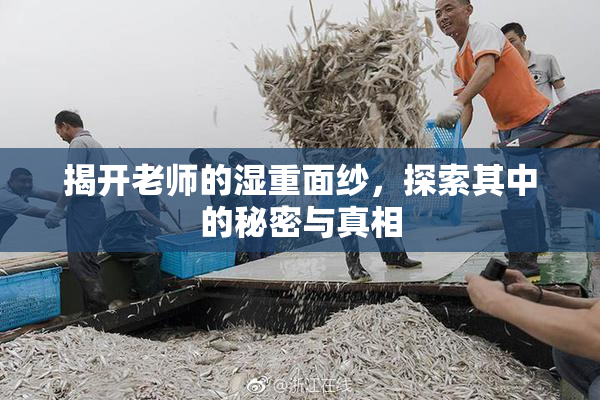揭开老师的湿重面纱，探索其中的秘密与真相