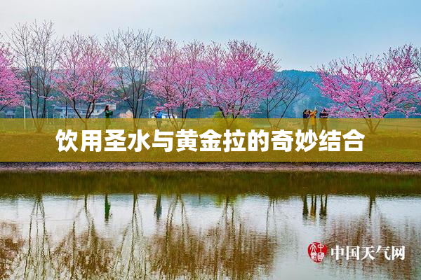 饮用圣水与黄金拉的奇妙结合