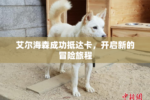 艾尔海森成功抵达卡，开启新的冒险旅程