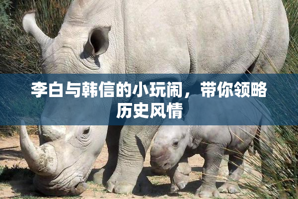 李白与韩信的小玩闹，带你领略历史风情