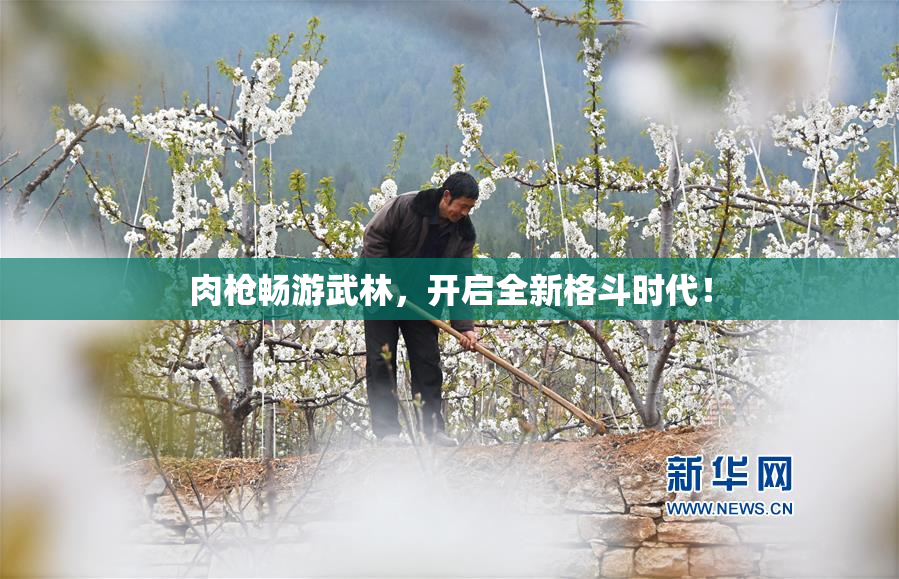 肉枪畅游武林，开启全新格斗时代！