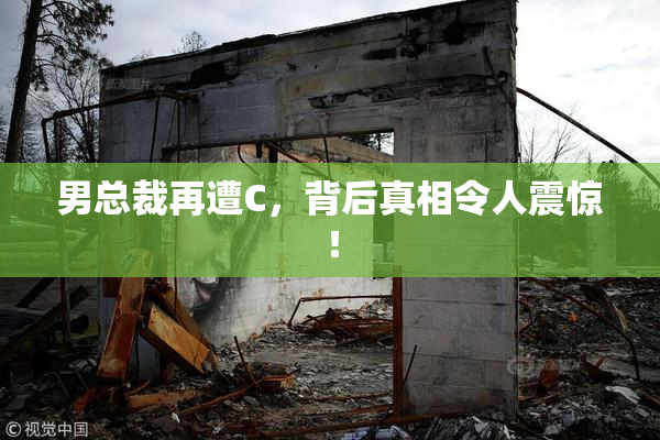 男总裁再遭C，背后真相令人震惊！