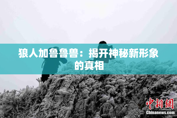狼人加鲁鲁兽：揭开神秘新形象的真相