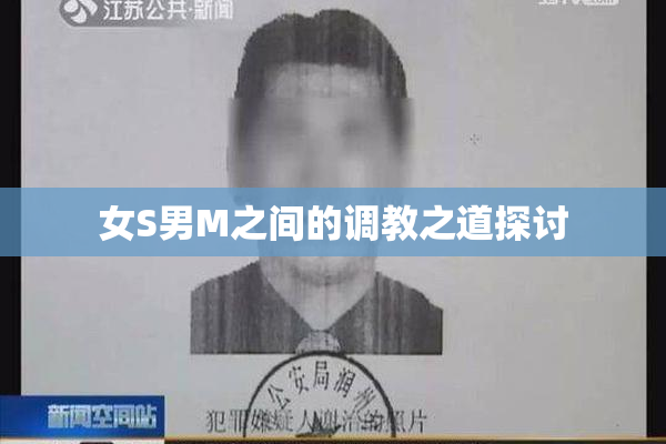 女S男M之间的调教之道探讨