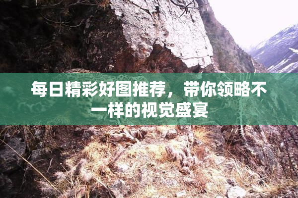 每日精彩好图推荐，带你领略不一样的视觉盛宴