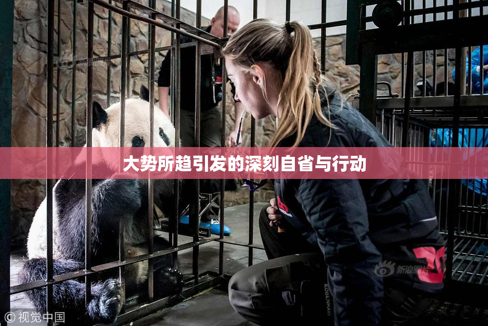 大势所趋引发的深刻自省与行动