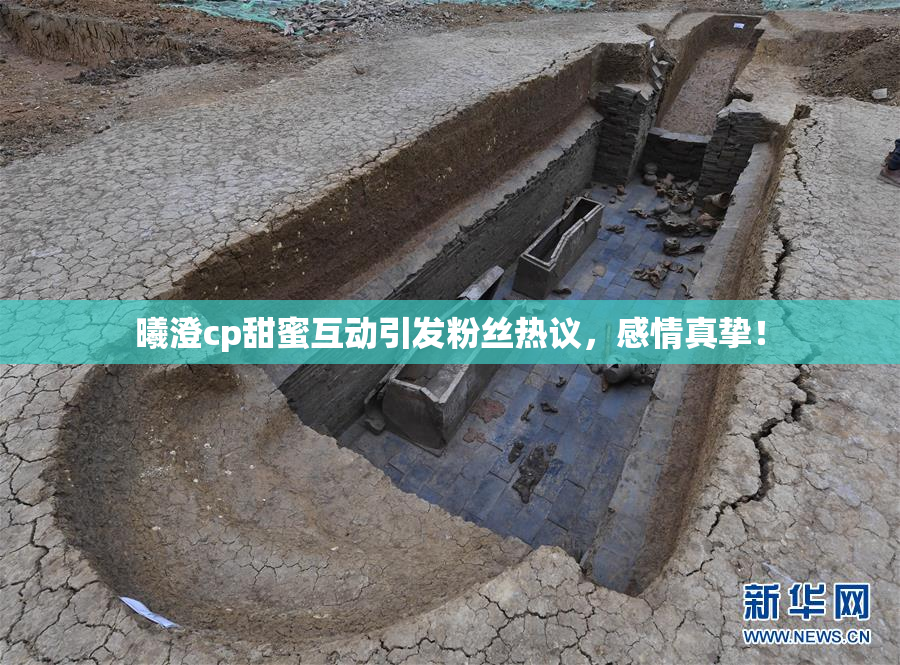 曦澄cp甜蜜互动引发粉丝热议，感情真挚！