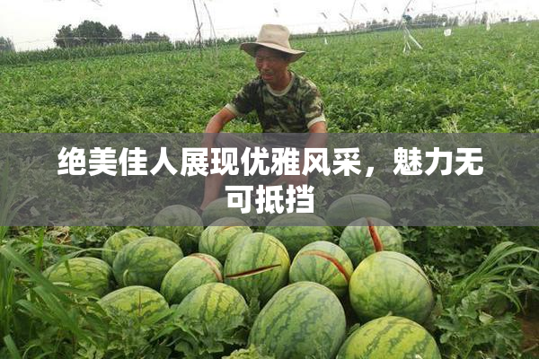 绝美佳人展现优雅风采，魅力无可抵挡