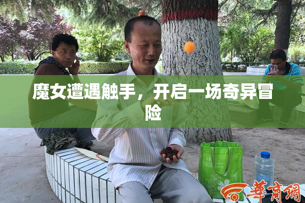 魔女遭遇触手，开启一场奇异冒险