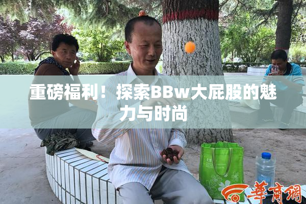 重磅福利！探索BBw大屁股的魅力与时尚
