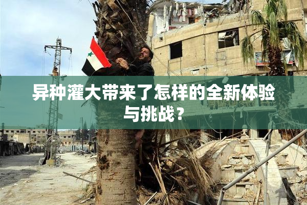 异种灌大带来了怎样的全新体验与挑战？