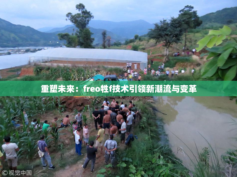 重塑未来：freo牲f技术引领新潮流与变革
